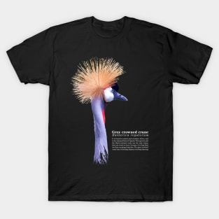 Grey crowned crane tropical bird white text T-Shirt